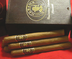 Habana Gold Dominican Mega Buy
